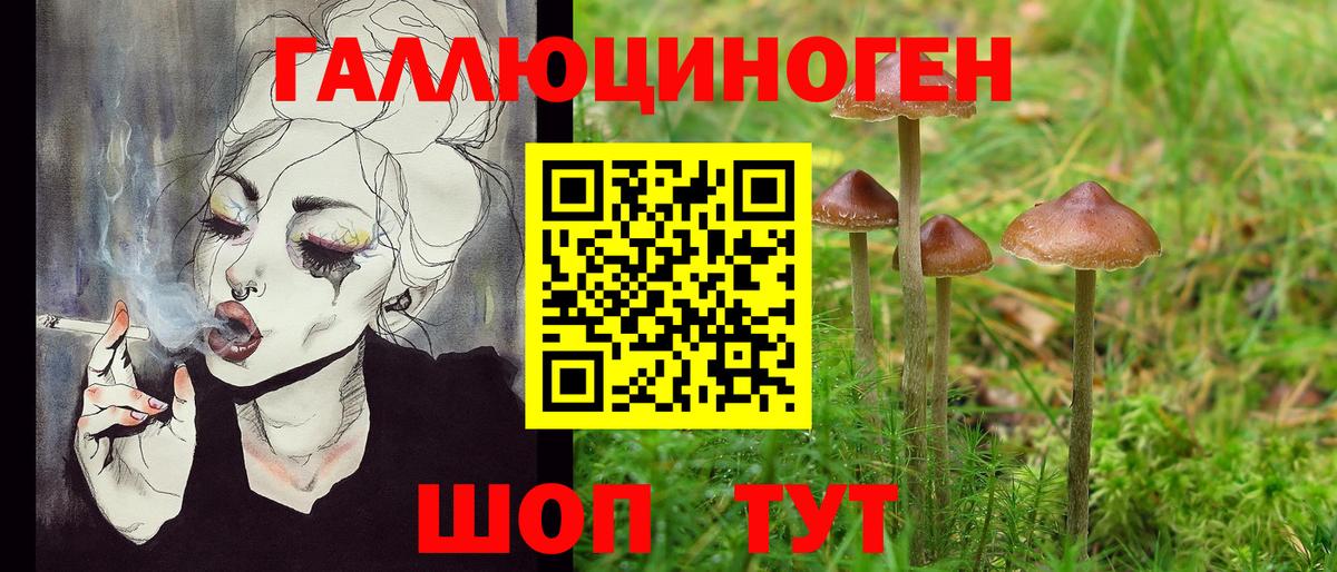 Коммунар  как найти закладки  Вход с VPN  Псилоцибиновые грибы MAGIC MUSHROOMS 